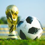 Coupe du monde : Les Pays-Bas et le Sénégal sont favoris dans le groupe A